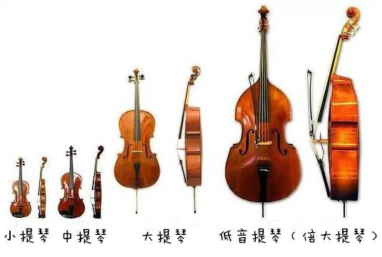 《从上海国际乐器展简介到器乐小科普》