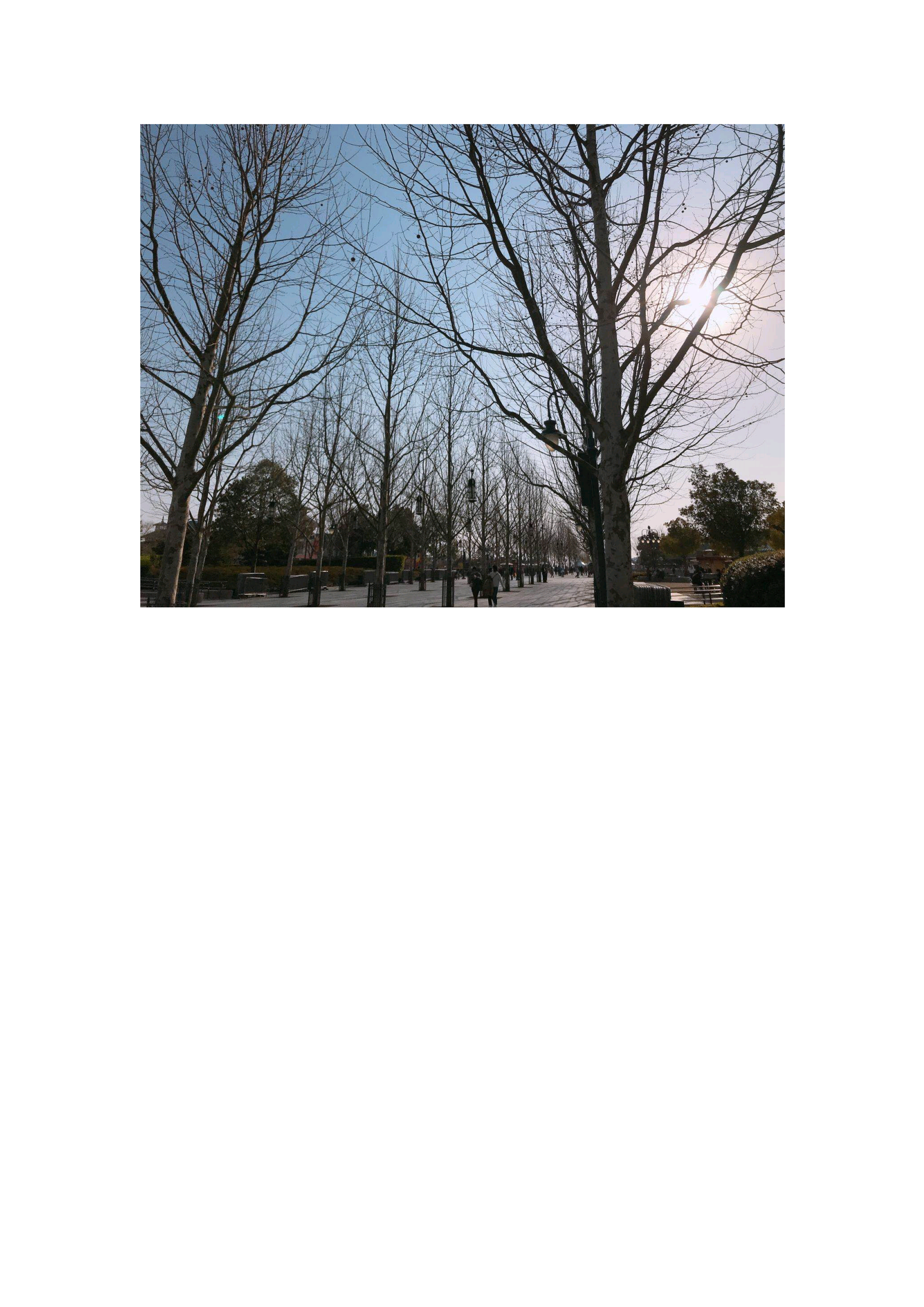 《SEASONAL PICTURES》