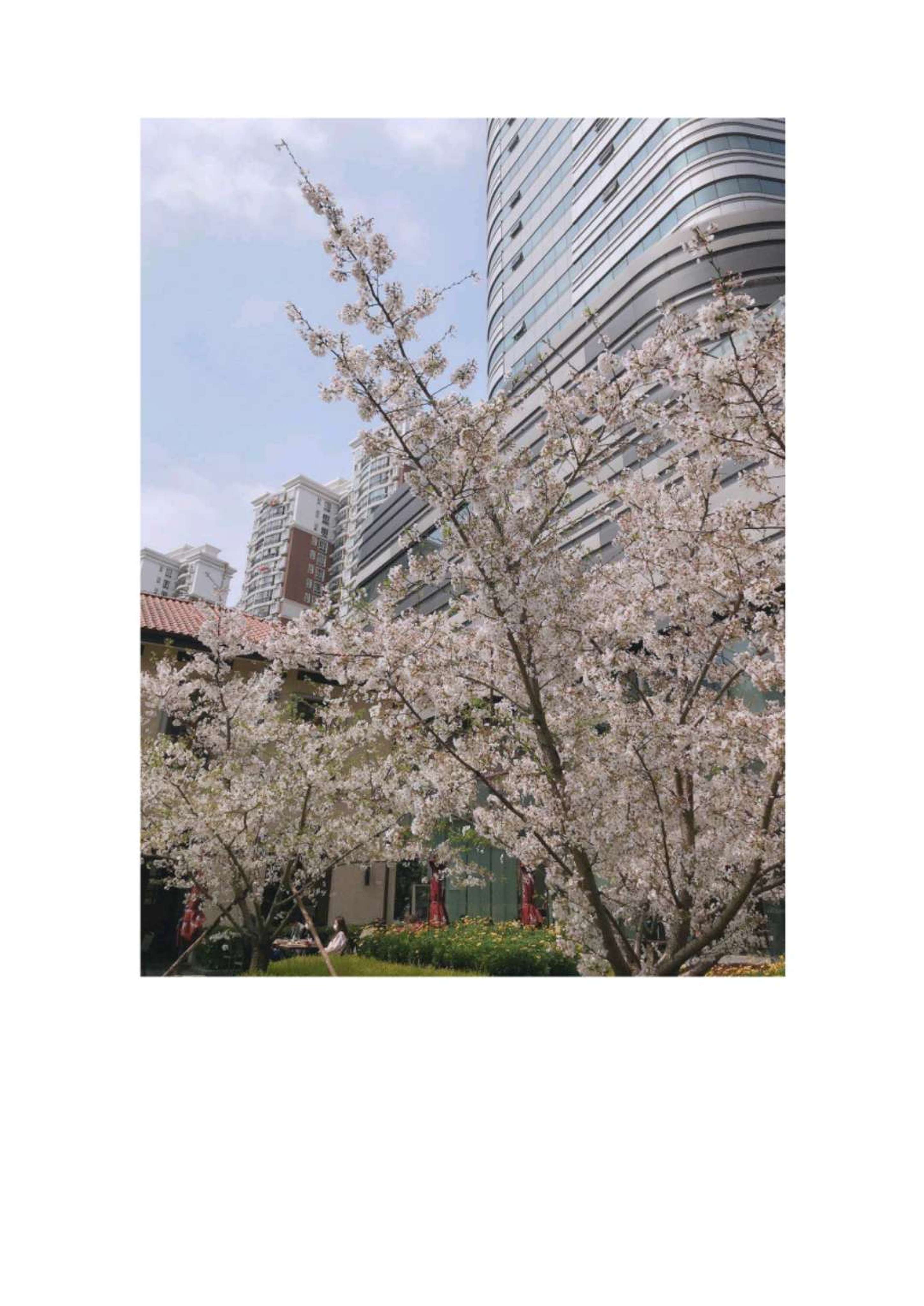 《SEASONAL PICTURES》